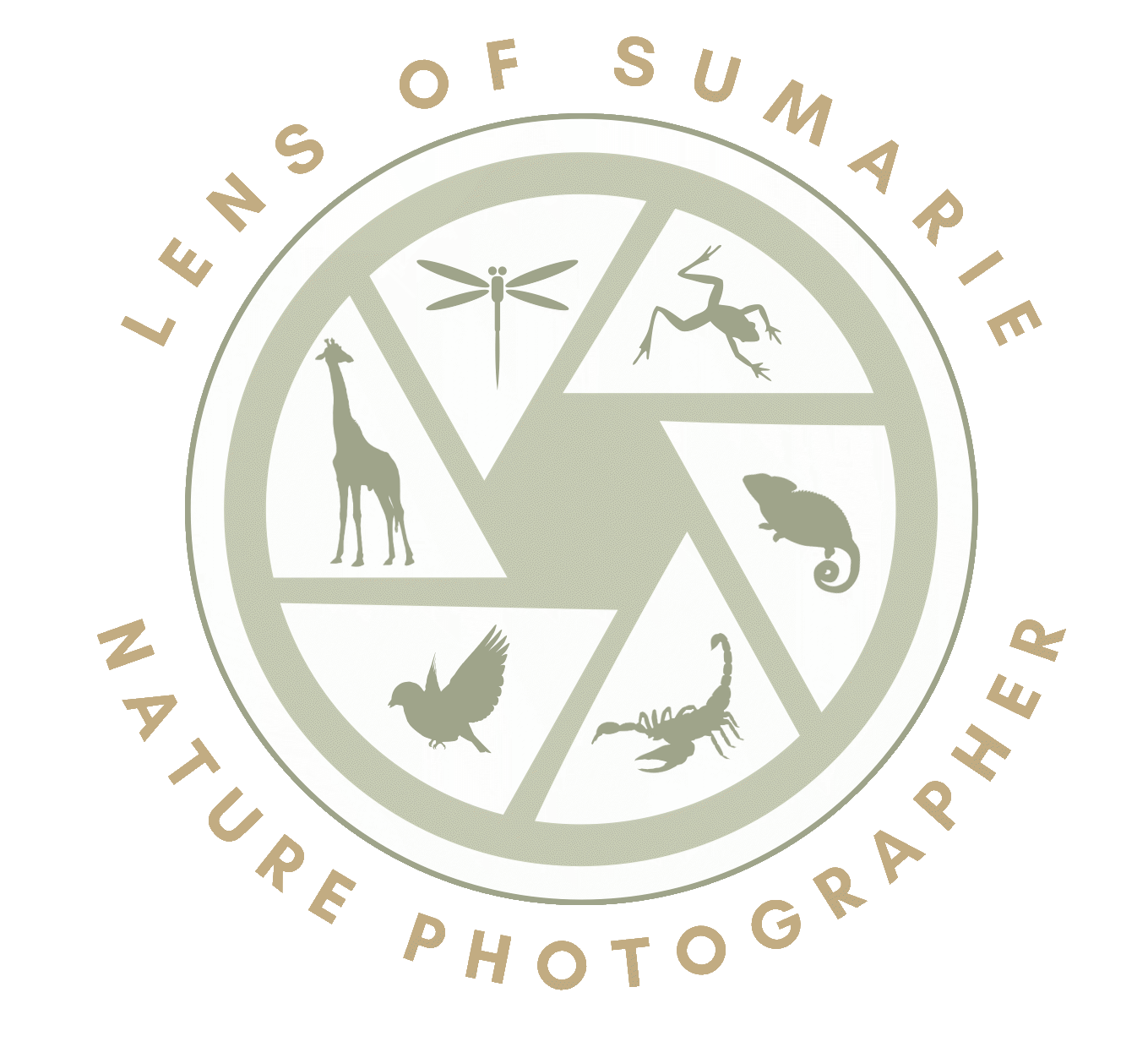 Company logo (Lens of Sumarie)